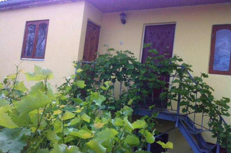 Изображение Изображение гостиницы &quot;Гостевой дом «Лоза»&quot; #4 #2