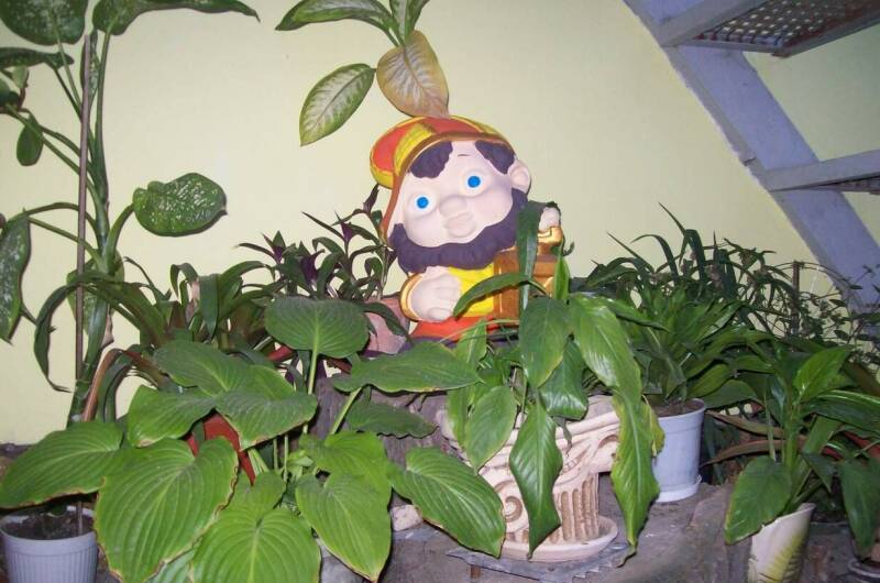 Изображение Изображение гостиницы &quot;Гостевой дом «Лоза»&quot; #7 #5