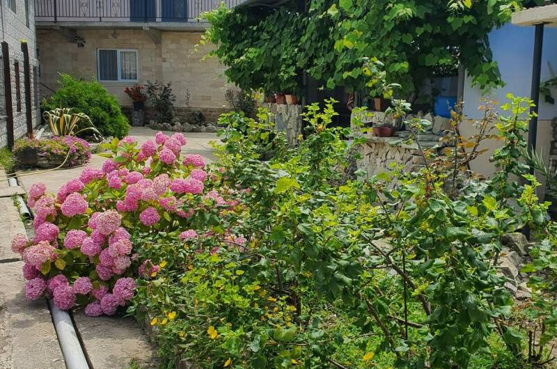 Изображение гостиницы "Частный сектор «Эльвира»" #1