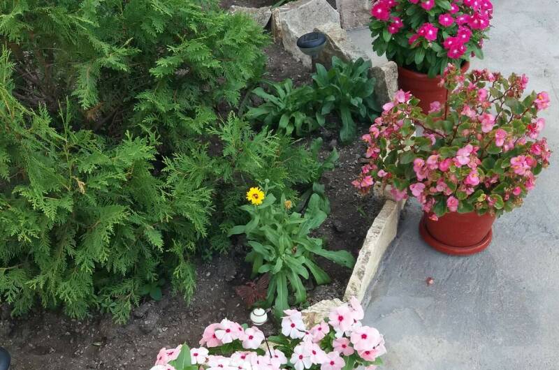 Изображение Изображение гостиницы &quot;Частный сектор «Эльвира»&quot; #8 #6