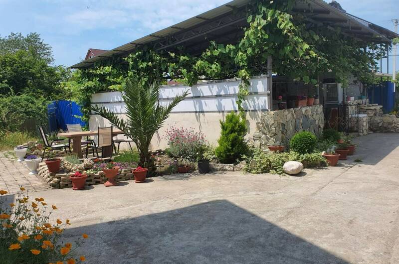 Изображение Изображение гостиницы &quot;Частный сектор «Эльвира»&quot; #11 #9