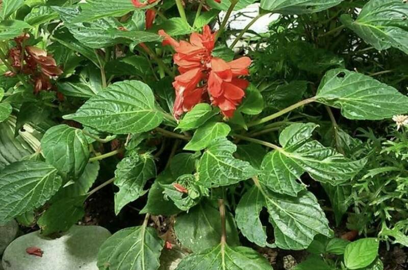 Изображение Изображение гостиницы &quot;Частный сектор «У Михаила»&quot; #3 #1