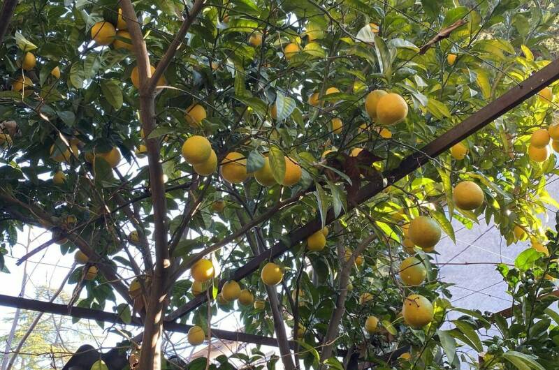 Изображение Изображение гостиницы &quot;Частный сектор «У Михаила»&quot; #5 #3