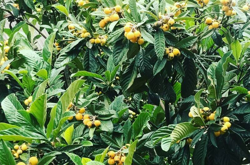 Изображение Изображение гостиницы &quot;Частный сектор «У Михаила»&quot; #11 #9