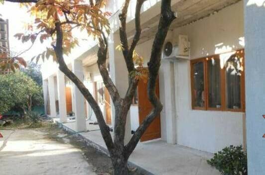 Изображение гостиницы "Гостевой дом «Роберт и Оксана»" #1