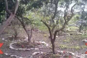 Изображение Изображение гостиницы &quot;Гостевой дом «Роберт и Оксана»&quot; #5 #3