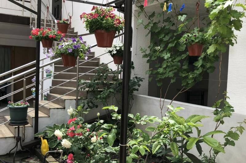 Изображение Изображение гостиницы &quot;Гостевой дом «Загадка»&quot; #7 #5