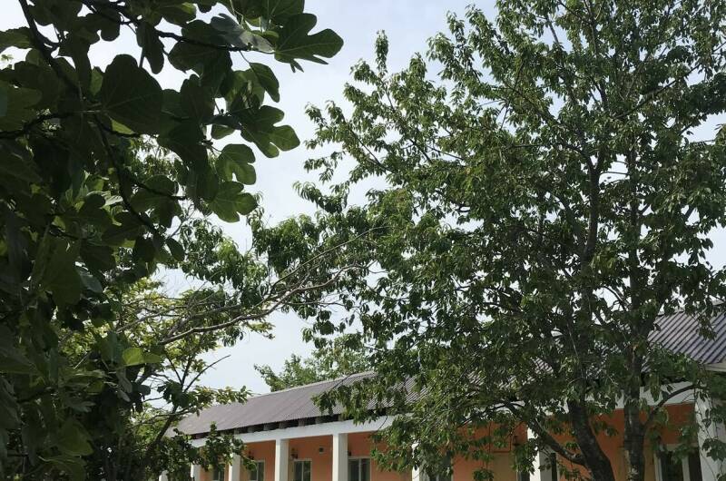 Изображение Изображение гостиницы &quot;Гостевой дом «SarKar House»&quot; #10 #8