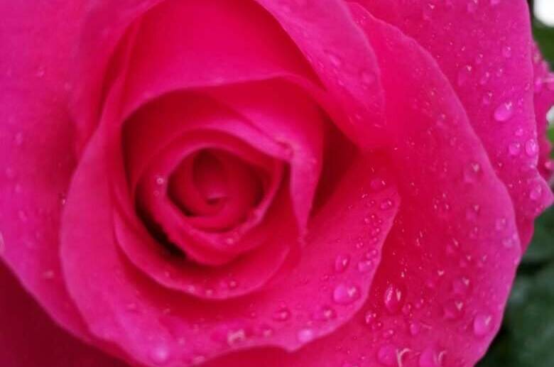 Изображение Изображение гостиницы &quot;Гостевой дом «у Дины»&quot; #4 #2