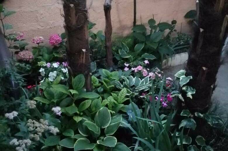 Изображение Изображение гостиницы &quot;Гостевой дом «у Дины»&quot; #8 #6