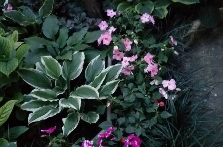 Изображение Изображение гостиницы &quot;Гостевой дом «у Дины»&quot; #10 #8