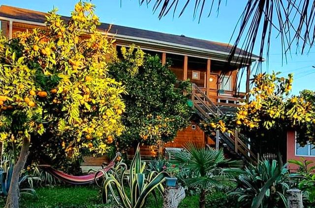 Изображение гостиницы "Гостевой дом «Старик Хасаныч»" #1