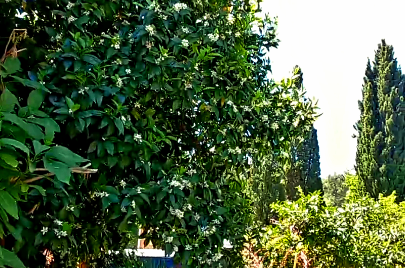 Изображение Изображение гостиницы &quot;Гостевой дом «Старик Хасаныч»&quot; #6 #4