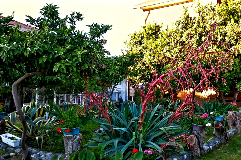 Изображение Изображение гостиницы &quot;Гостевой дом «Старик Хасаныч»&quot; #9 #7