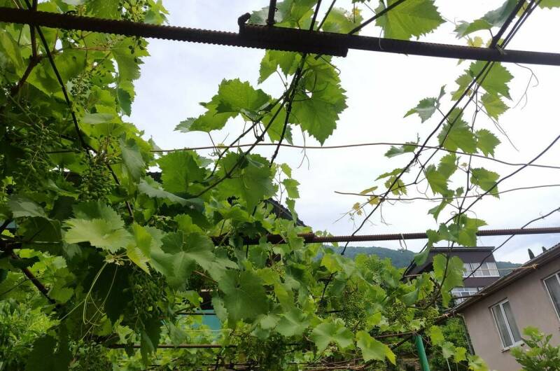 Изображение Изображение гостиницы &quot;Частный дом «У Анаиды»&quot; #3 #1