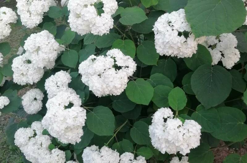 Изображение Изображение гостиницы &quot;Частный сектор «Белорусский домик»&quot; #3 #1