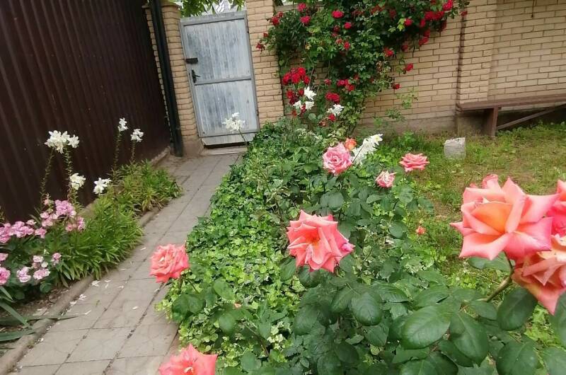 Изображение Изображение гостиницы &quot;Частный сектор «Белорусский домик»&quot; #6 #4