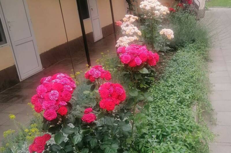 Изображение Изображение гостиницы &quot;Частный сектор «Белорусский домик»&quot; #8 #6