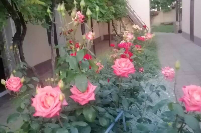 Изображение Изображение гостиницы &quot;Частный сектор «Белорусский домик»&quot; #11 #9