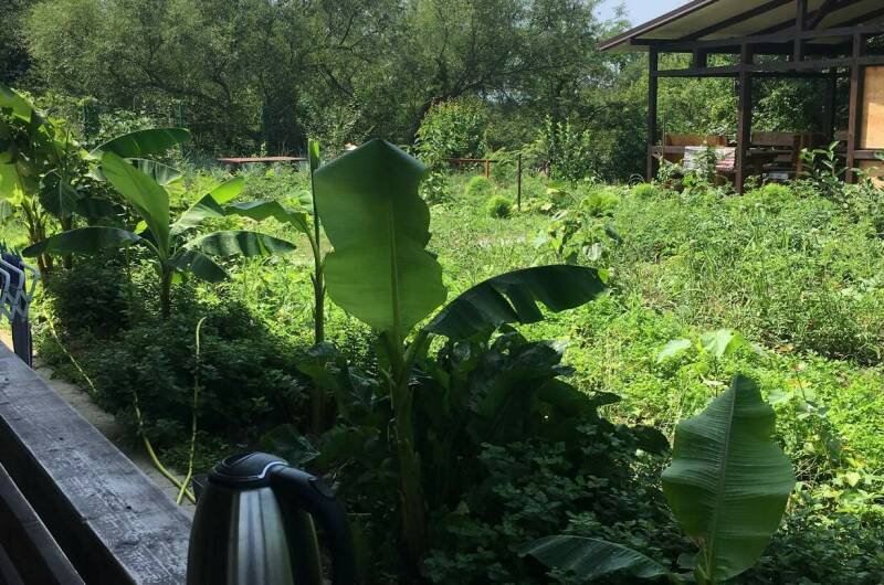 Изображение Изображение гостиницы &quot;Гостевой дом «Пограничный проезд 3»&quot; #3 #1