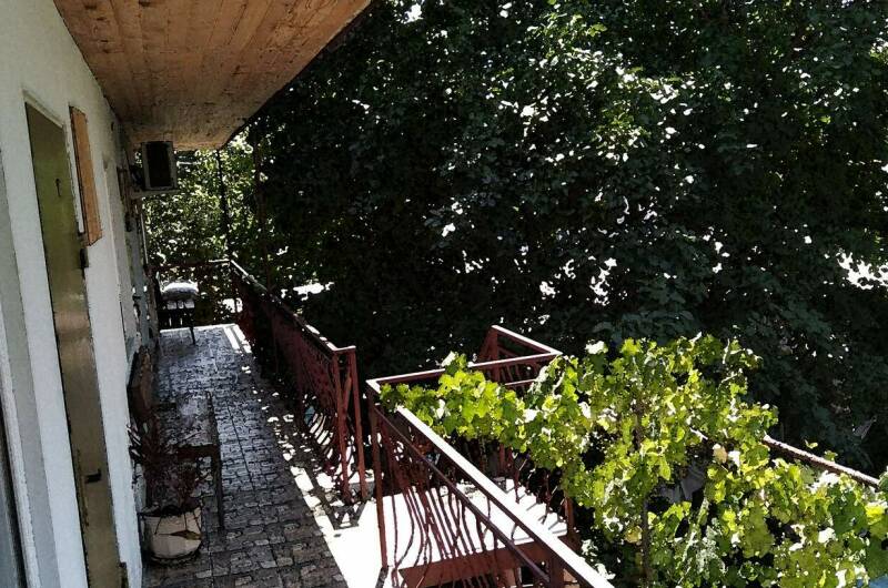 Изображение Изображение гостиницы &quot;Гостевой дом «Медуза»&quot; #6 #4