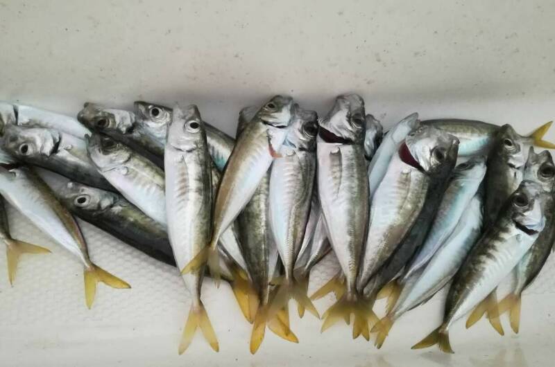 Изображение Изображение гостиницы &quot;Эллинг «Яхт-клуб Кайрос»&quot; #7 #5