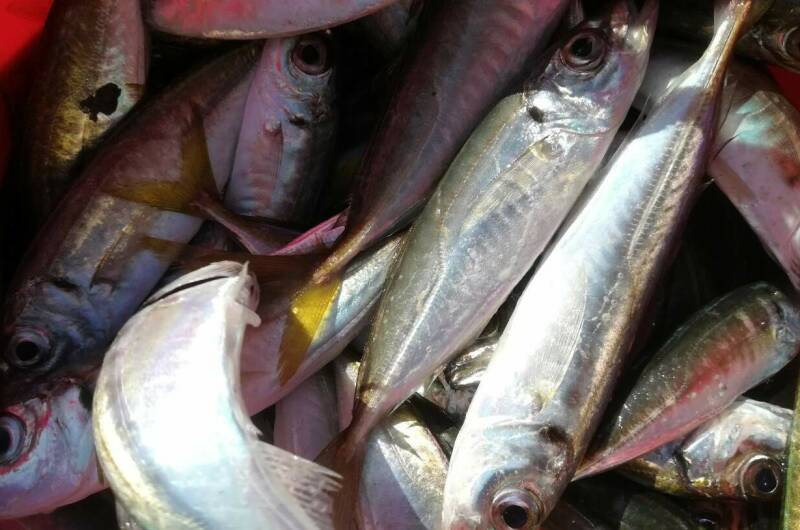 Изображение Изображение гостиницы &quot;Эллинг «Яхт-клуб Кайрос»&quot; #8 #6