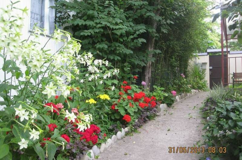 Изображение Изображение гостиницы &quot;Частный дом у моря&quot; #8 #6