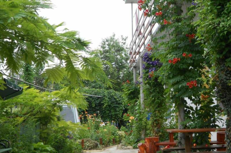 Изображение гостиницы "Частный сектор «Цветочный рай»" #1