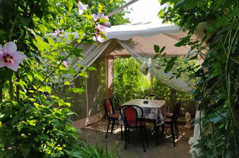 Изображение Изображение гостиницы &quot;Частный сектор «Цветочный рай»&quot; #3 #1