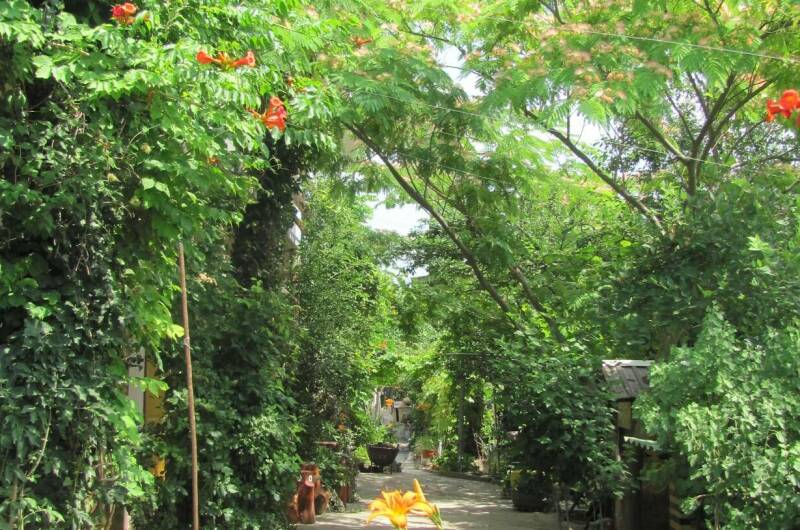 Изображение Изображение гостиницы &quot;Частный сектор «Цветочный рай»&quot; #4 #2