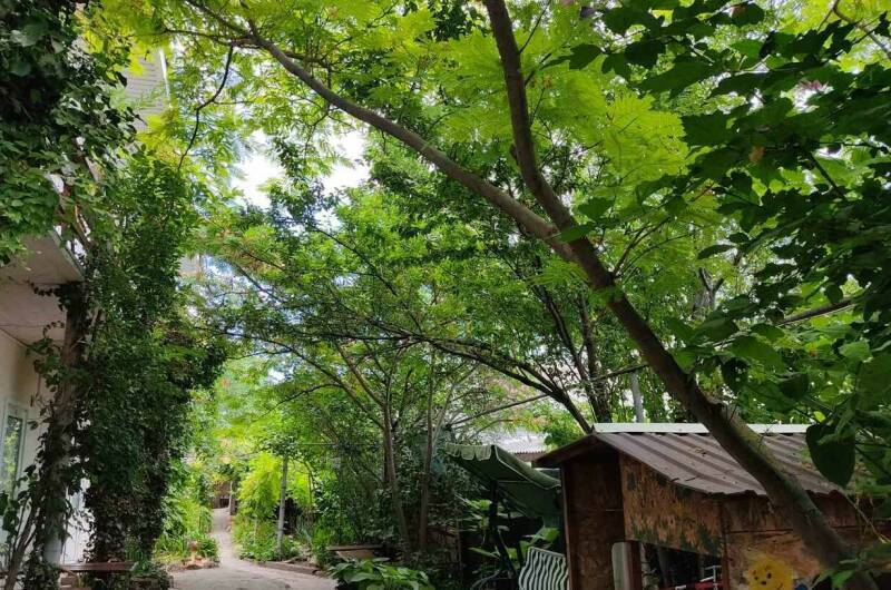 Изображение Изображение гостиницы &quot;Частный сектор «Цветочный рай»&quot; #5 #3