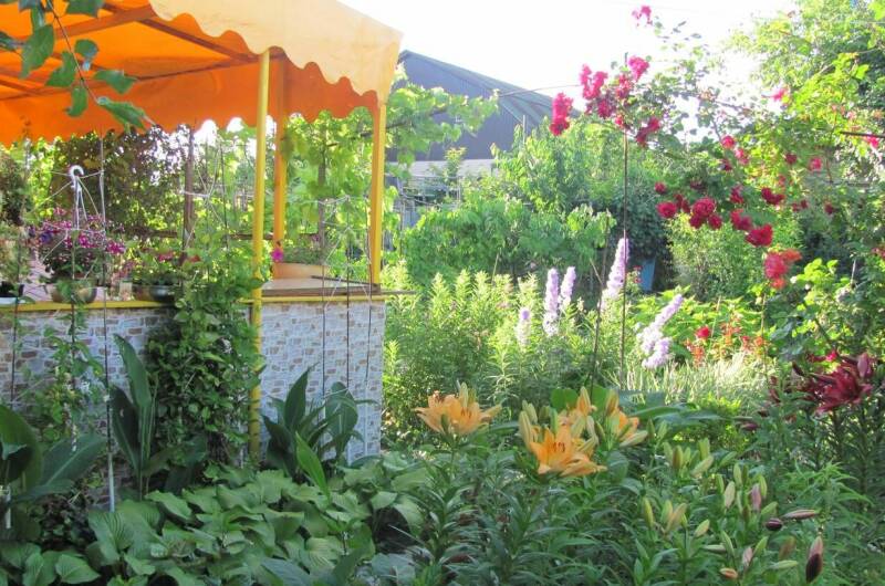 Изображение Изображение гостиницы &quot;Частный сектор «Цветочный рай»&quot; #8 #6