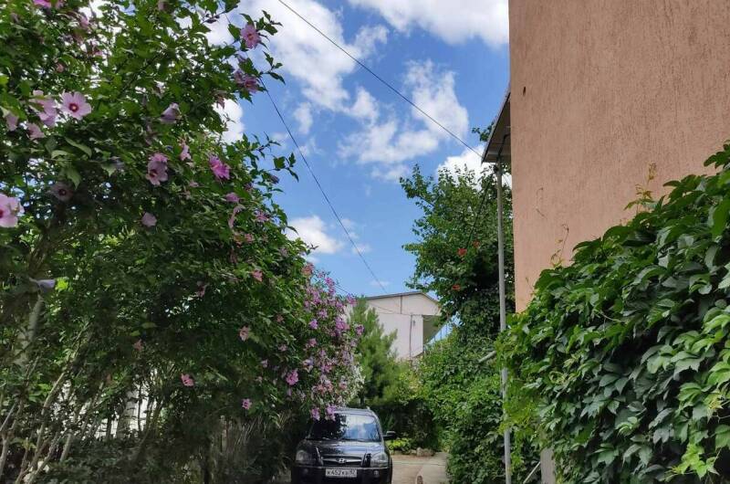 Изображение Изображение гостиницы &quot;Частный сектор «Цветочный рай»&quot; #9 #7