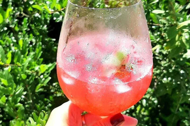 Изображение Изображение гостиницы &quot;Гостевой дом «Кактус»&quot; #3 #1