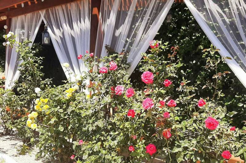 Изображение Изображение гостиницы &quot;Гостевой дом «Кактус»&quot; #7 #5