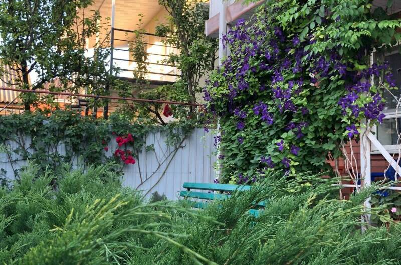 Изображение Изображение гостиницы &quot;Гостевой дом «Дуняша»&quot; #9 #7