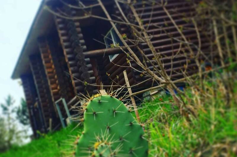 Изображение Изображение квартиры &quot;ЭкоУсадьба «Сказка»&quot; #9 #7