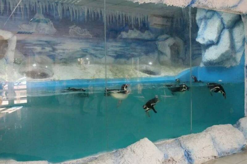 Изображение Изображение гостиницы &quot;Гостевой дом «Панорама»&quot; #5 #3