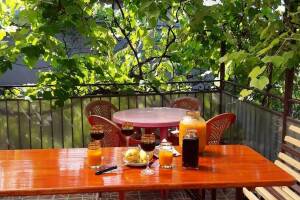 Изображение отеля / гостиницы "Гостевой дом «Лоза»"