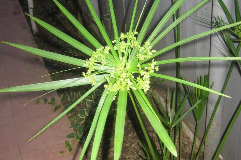 Изображение Изображение гостиницы &quot;Гостевой дом «Тихий уголок»&quot; #6 #4