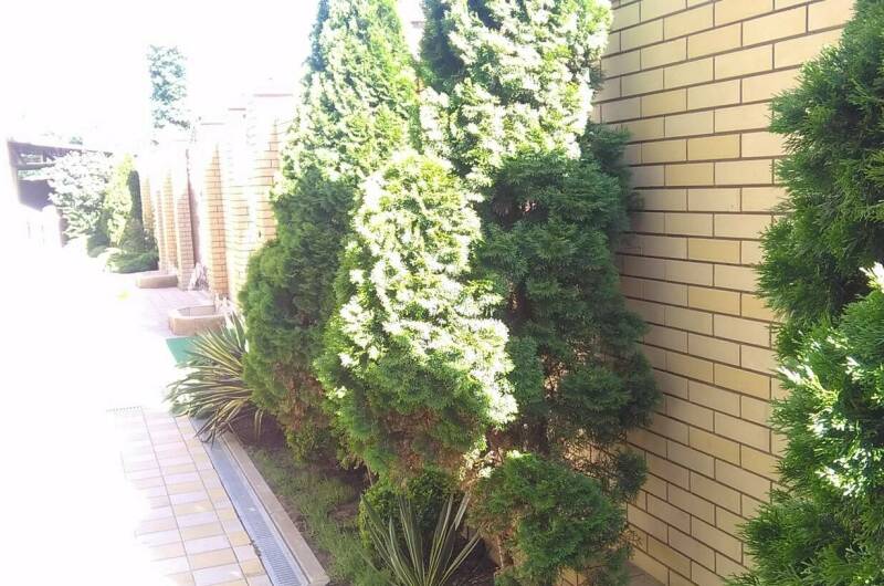 Изображение Изображение гостиницы &quot;Частное домовладение «Астория»&quot; #9 #7