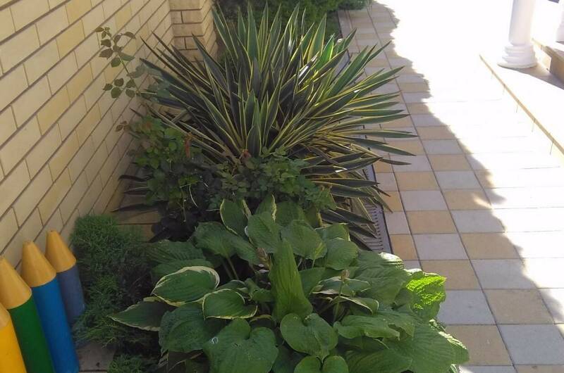 Изображение Изображение гостиницы &quot;Частное домовладение «Астория»&quot; #11 #9