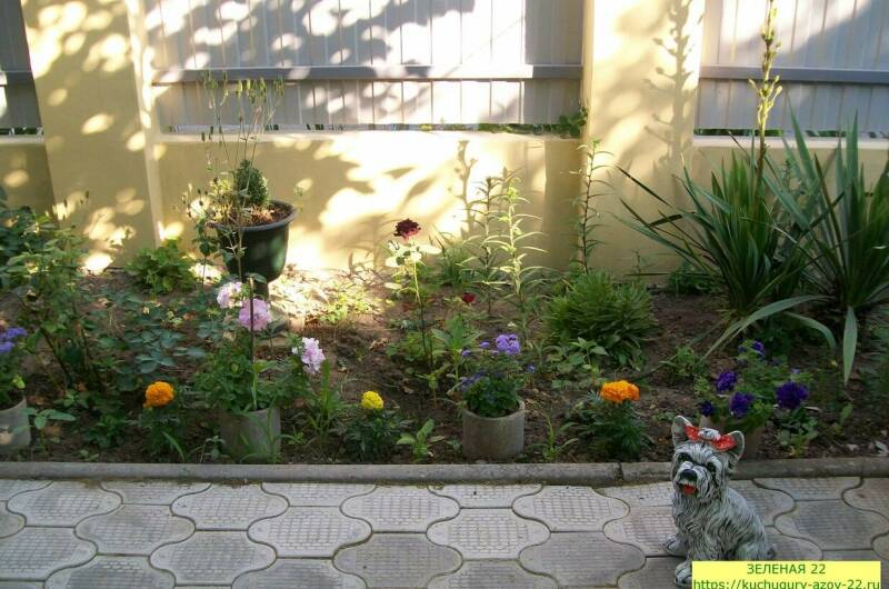 Изображение Изображение гостиницы &quot;Частный сектор «Зеленая 22»&quot; #3 #1