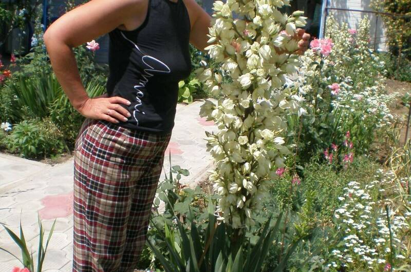 Изображение Изображение гостиницы &quot;Частный сектор «Зеленая 22»&quot; #11 #9