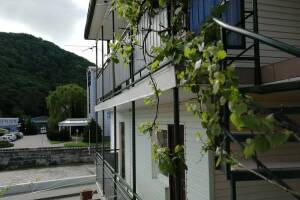 Гостевой дом «Южный Двор»