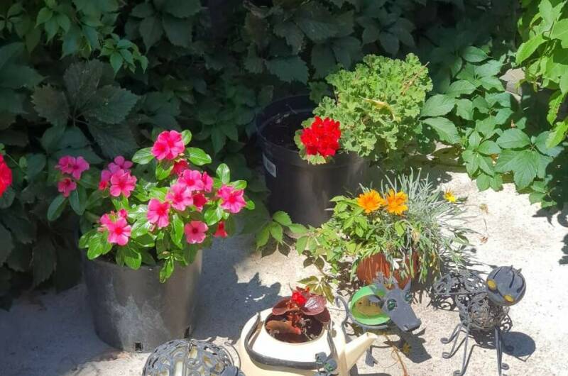 Изображение Изображение гостиницы &quot;Частный сектор «У Натальи»&quot; #3 #1