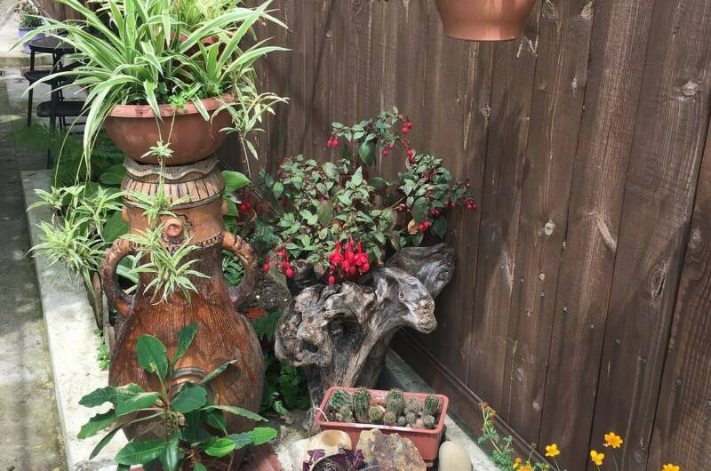 Изображение Изображение гостиницы &quot;Частный сектор «У Натальи»&quot; #4 #2