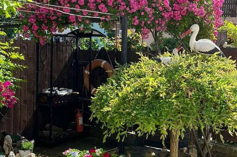 Изображение Изображение гостиницы &quot;Частный сектор «У Натальи»&quot; #7 #5