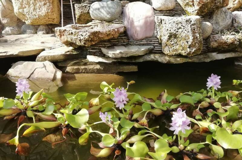 Изображение Изображение гостиницы &quot;Частный сектор «Solar»&quot; #7 #5